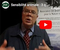 Georges Chapouthier, sensibilité animale